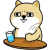 Tierno enojado 10