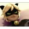 Miraculous Expressions 6