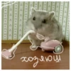 Hamsters  🐹💖 1 C☆ 7