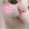 Gatitos 4 15