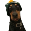 Perritos 9
