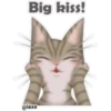 🐱🐾Cat Talk English🐾🐱 14