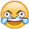 XDD 12