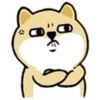 Tierno enojado 11
