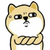 Tierno enojado 12