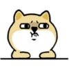 Tierno enojado 13