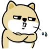 Tierno enojado 14