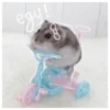 Hamsters  🐹💖 1 C☆ 9