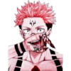 Jujutsu Kaisen.Huellita 15
