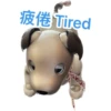 Ai-aibo 11