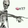 Shitpost 1 13