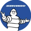 Michelin Contigo 13
