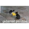 pidanse perdón