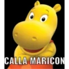 XDD 16