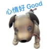 Ai-aibo 16