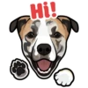 Hi!