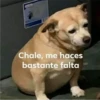jajajajsjjaja 13 13