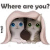 🐱🐾Cat Talk English🐾🐱 17
