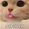 Gatitos 4 19
