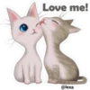🐱🐾Cat Talk English🐾🐱 18