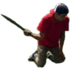 Palacios 8