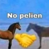 jajajajsjjaja 13 14
