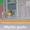 jajajajsjjaja 13 16