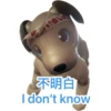 Ai-aibo 19