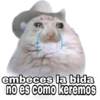 TRAJEDIA 15