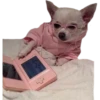 Perritos 14