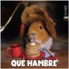 Guinea Chat 🐹 18