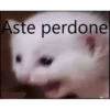 Gatitos Stikers 8