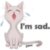 🐱🐾Cat Talk English🐾🐱 20