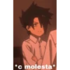 *c molesta*