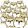 Tierno enojado 17