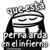 florksito pirata ᥫ᭡ 19