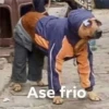 jajajajsjjaja 13 18