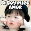 SI SOY PURO
AMOR
COKKI