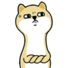 Tierno enojado 18