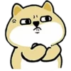 Tierno enojado 19