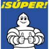 Michelin Contigo 18