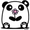 Pan Panda 🐼 🌈 20