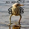 AY MECACH IS 512