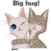 🐱🐾Cat Talk English🐾🐱 22