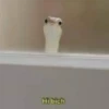 jajajajsjjaja 13 24