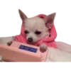 Perritos 19
