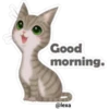 🐱🐾Cat Talk English🐾🐱 25