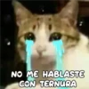 Gatitos 4 24