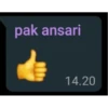 pak ansari
14.20