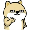 Tierno enojado 22
